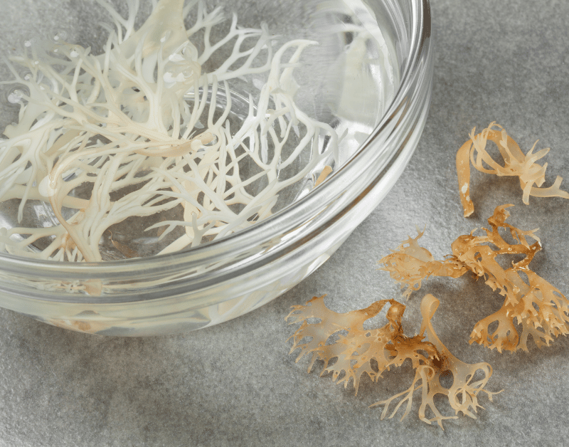 Raw Sea Moss