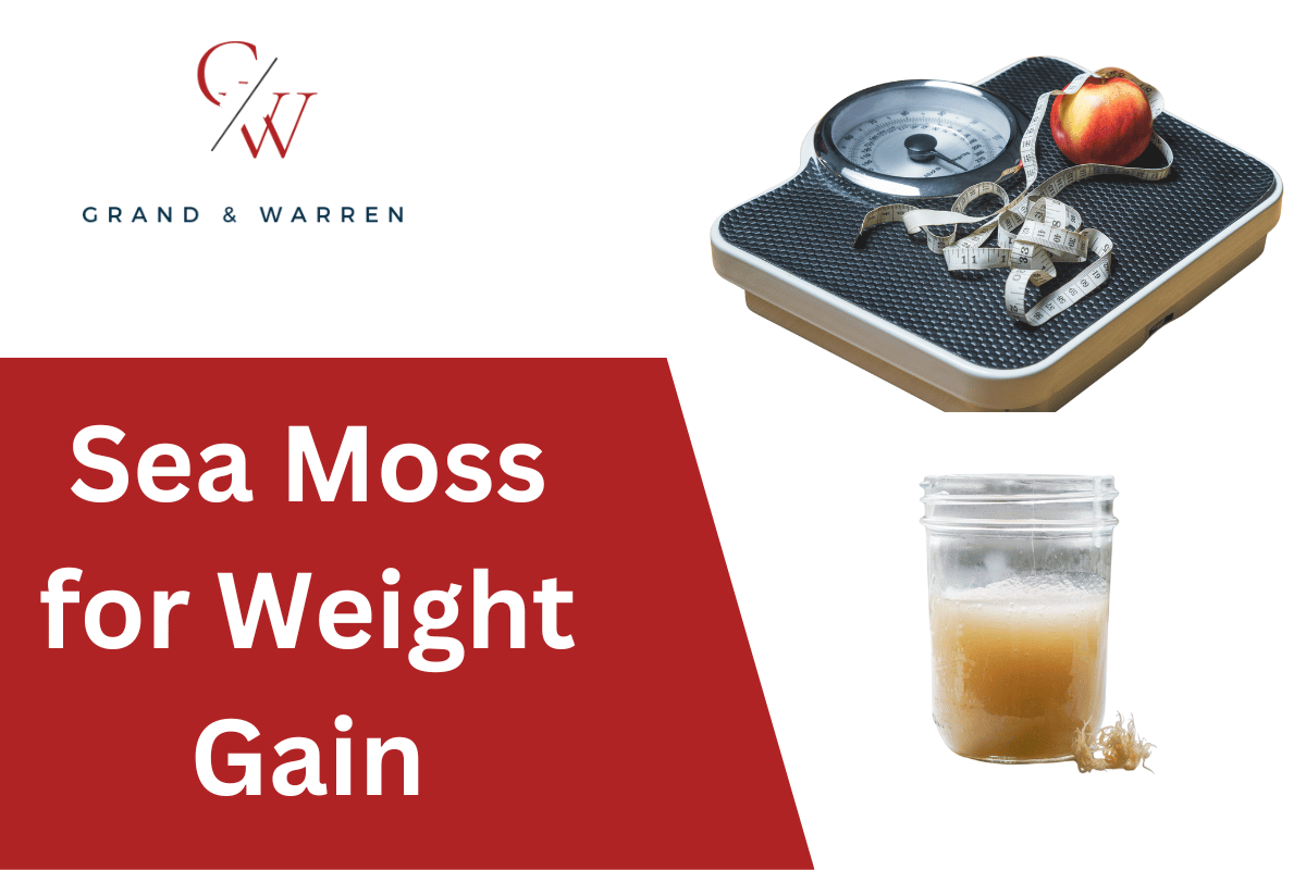 Sea Moss for Weight Gain